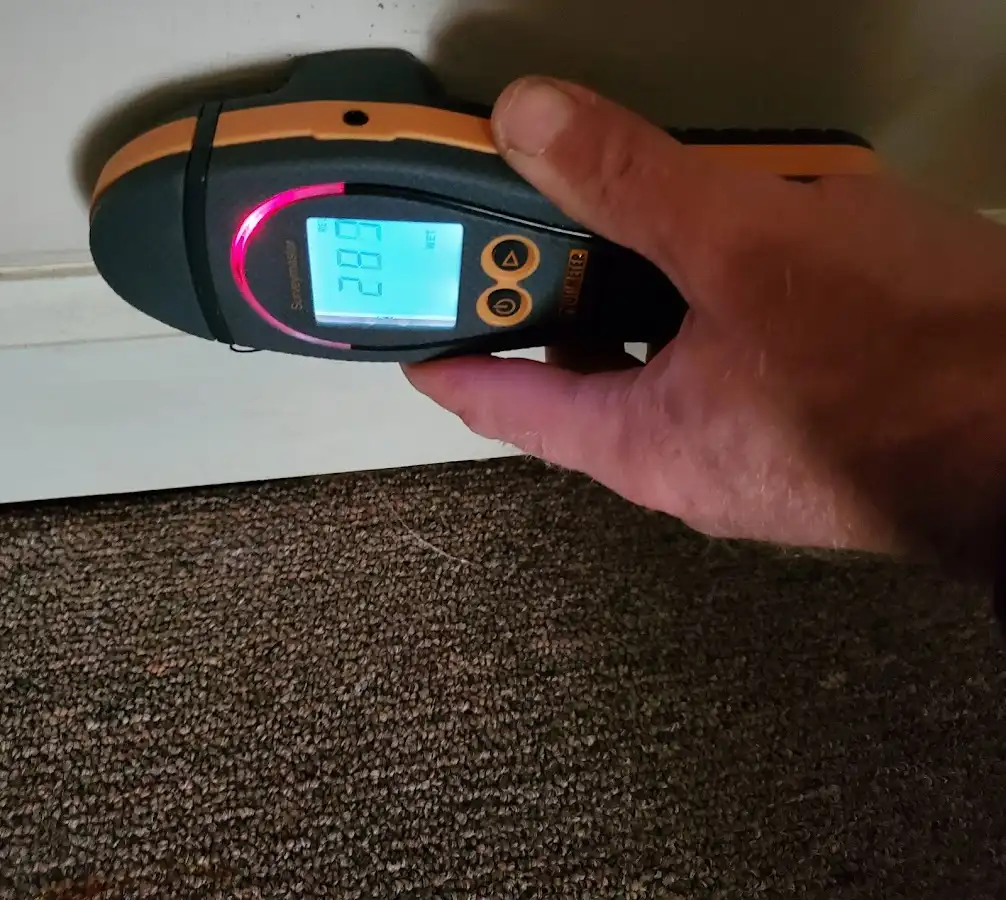 Moisture detection at baseboard during Sewage Cleanup & Sanitation in Hartland